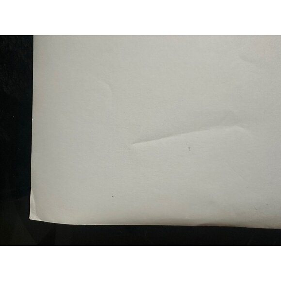 Vintage Roger Williams 1961 Swingin Along Movie Still Head Shot Photo - Picture 12 of 14